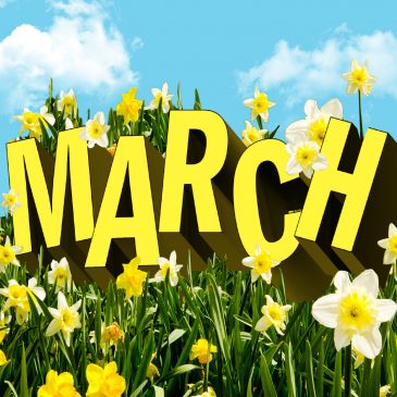 Jungfrau training log – March (weeks 1 to 4)